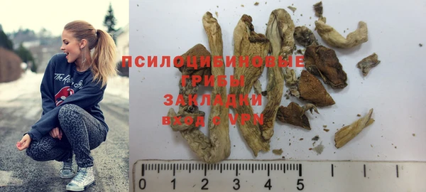 apvp Покров