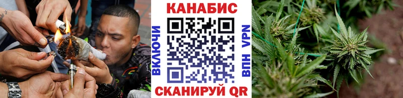 цены наркотик  Светлогорск  Каннабис Amnesia 